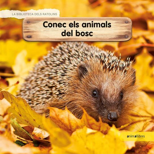 Conec els animals del bosc | 9788417599218 | Lamour-Crochet, Céline | Librería Sendak