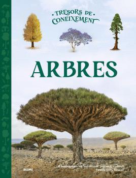 Tresors coneixements. Arbres | 9788410469907 | Walerczuk, Val/Treadwell, Simon/Russell, Tony | Llibreria Sendak