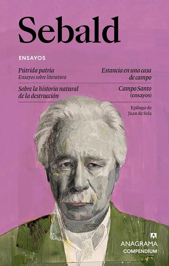 Ensayos | 9788433949585 | Sebald, W. G. | Librería Sendak