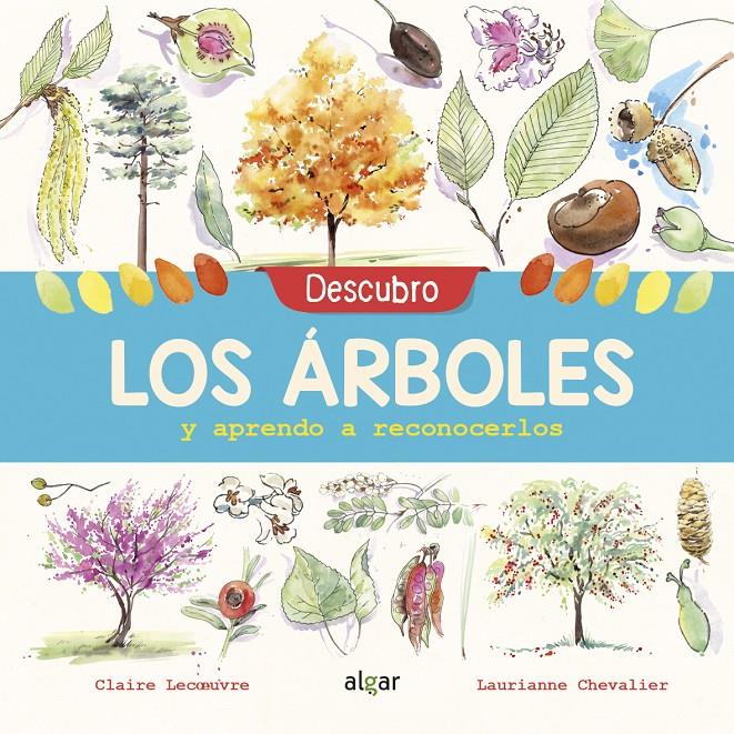 Descubro los árboles y aprendo a reconocerlos | 9788491422952 | Lecoeuvre, Claire | Llibreria Sendak