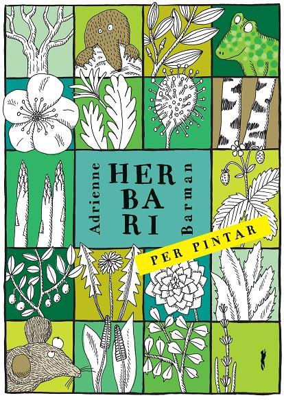 Herbari per pintar | 9788494990427 | Barman, Adrianne | Llibreria Sendak
