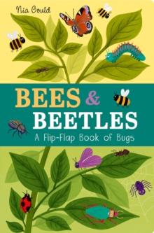 Bees & Beetles: A Flip-Flap Book of Bugs | 9781801044585 | Littleboy, Molly / Gould, Nia | Librería Sendak