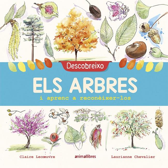 Els arbres | 9788417599195 | Lecoeuvre, Claire | Llibreria Sendak