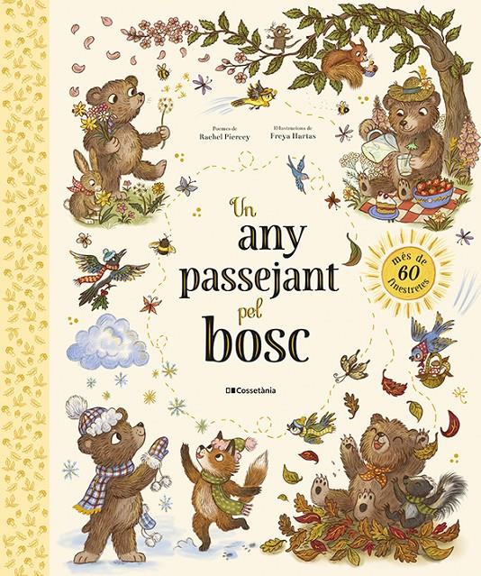 Un any passejant pel bosc | 9788413566184 | Piercey, Rachel | Llibreria Sendak