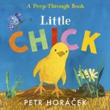 Little Chick | 9781529517361 | Horácek, Pter | Llibreria Sendak
