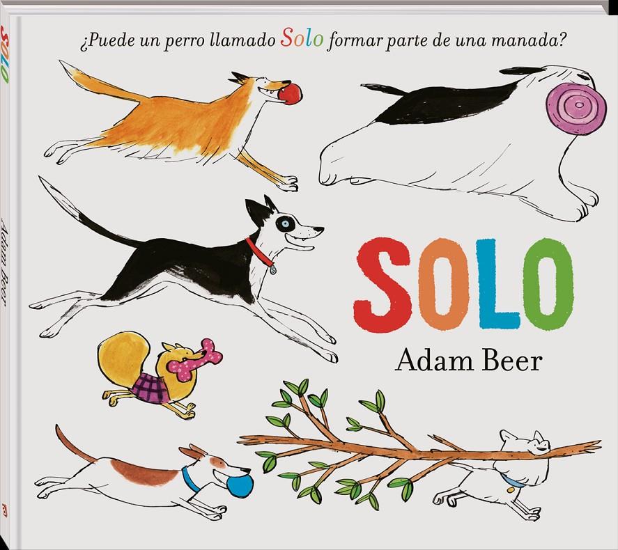 Solo | 9788418762246 | Beer, Adam | Librería Sendak