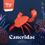 Plego Cancridae (Bou de mar) | 9999900004953 | Librería Sendak