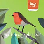 Plego Erithacus Rubecula (Pit-Roig) | 8436043721015 | Llibreria Sendak