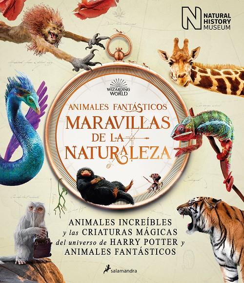 Animales fantásticos: maravillas de la naturaleza | 9788418637056 | The National History Museum, | Llibreria Sendak
