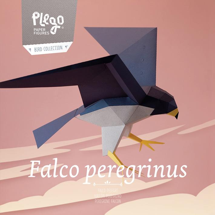Plego Falco Peregrinus (Falcó pelegrí) | 9999900002409 | Llibreria Sendak