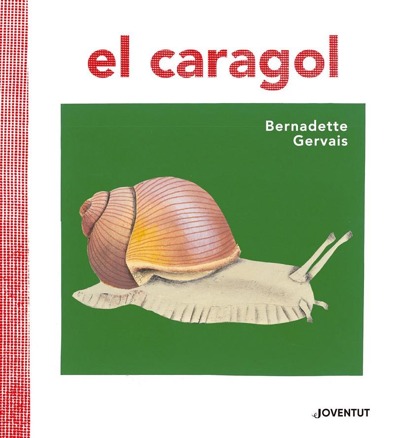 El caragol | 9788426145680 | Gervais, Bernadette | Llibreria Sendak