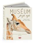 Muséum Pop Up | 9782361935672 | EHRHARD, DOMINIQUE / LEMASSON, ANNE-FLORENCE | Llibreria Sendak