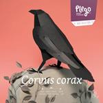Plego Corvus Corax (Corb) | 8436043720100 | Llibreria Sendak