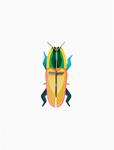 STUDIO ROOF Madagascar Beetle | 8718164517518 | Llibreria Sendak