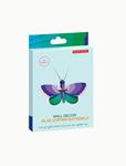 STUDIO ROOF Blue Copper Butterfly  | 8718164517570 | Llibreria Sendak