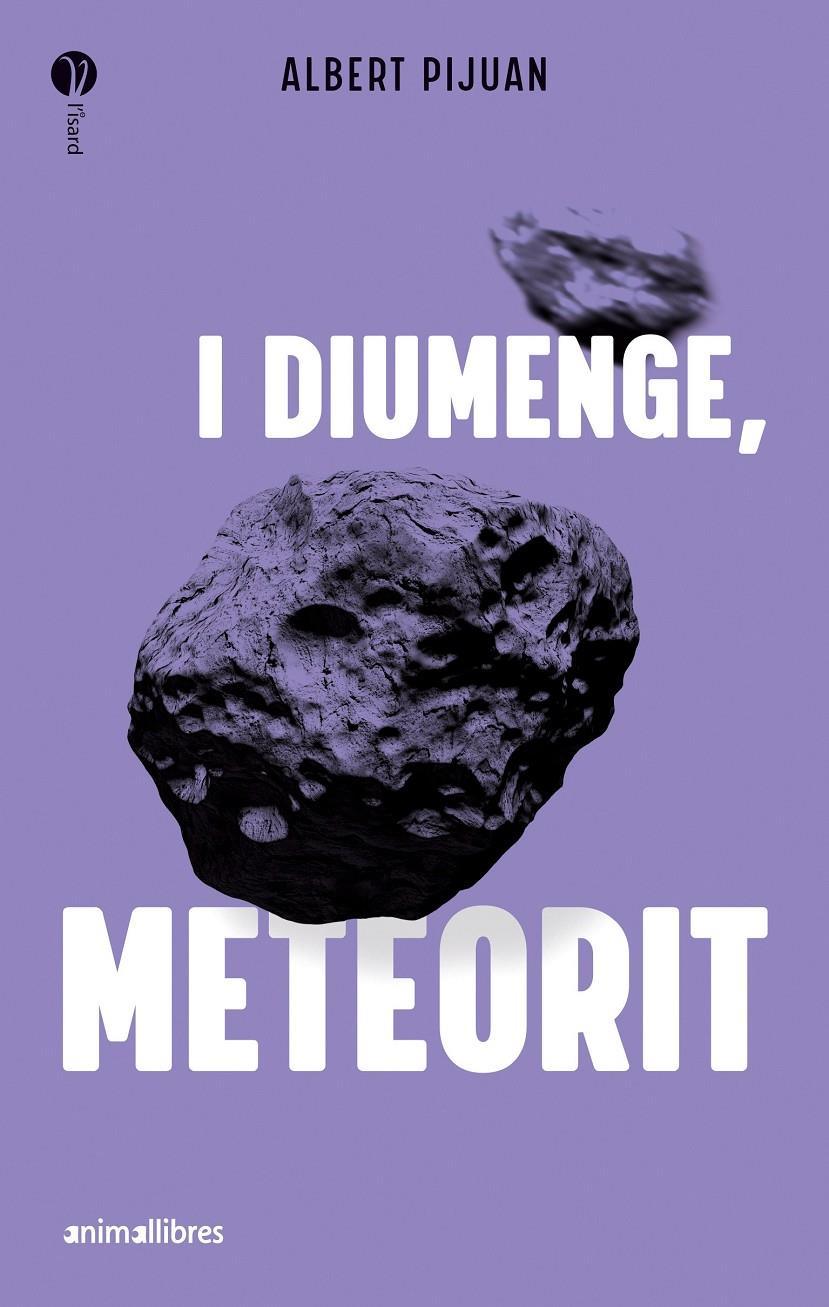 I diumenge, meteorit | 9788419659415 | Albert Pijuan | Llibreria Sendak