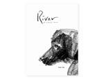 River. Il cane nero | 9788875707637 | Lee, Suzy | Llibreria Sendak