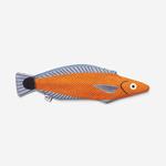 DON FISHER Señorita taronja (amb anella clauer)  | 8435551401396 | Llibreria Sendak