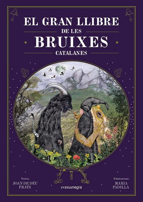 El gran llibre de les bruixes catalanes | 9788418857751 | Prats, Joan de Déu/Padilla Climent, Maria | Llibreria Sendak