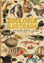 Zoología ilustrada | 9788494896491 | Soria, Carmen | Llibreria Sendak