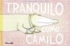 Tranquilo como Camilo | 9788484706564 | ANDRIAMIRADO,NATACHA & RENON, DELPHINE | Librería Sendak