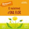 El naixement d'una flor | 9788468261737 | Ch. Piroddi | Llibreria Sendak