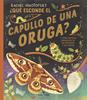 ¿Qué esconde el capullo de una oruga? | 9788419158703 | Ignotofsky, Rachel | Librería Sendak
