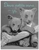 Deux petits ours | 9782352893790 | Ylla | Llibreria Sendak