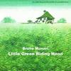 Little Green Riding Hood | 9788875701055 | Munari, Bruno | Llibreria Sendak