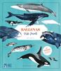 Ballenas. Vida secreta | 9788410417151 | Ortega, Rena/Ortega, Rena | Llibreria Sendak