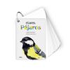 Fíjate: pájaros | 9788417165819 | Librería Sendak