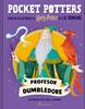 Pocket Potters - Profesor Dumbledore | 9788419868596 | Rowling, J.K. | Librería Sendak