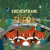 Encuéntrame bajo la tierra | 9788414023327 | Marshall, Natalie | Librería Sendak