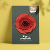 Plego Rosa centifolia | 8436043720445 | Librería Sendak