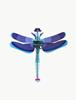 STUDIO ROOF Sapphire Dragonfly | 8718164518898 | Llibreria Sendak