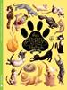 Breu Gatopèdia Il·lustrada | 9788494469886 | Zaro Soto, Zoraida | Llibreria Sendak