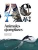 Animales ejemplares | 9788412159899 | Pérez Iglesias, Juan Ignacio | Llibreria Sendak