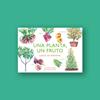 Una planta, un fruto | 8495390786719 | Llibreria Sendak