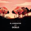 El llenguatge dels ocells | 9788412405279 | Ulled Nadal, Toni/Font, Ignasi | Llibreria Sendak