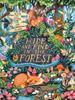 Hide and Find in the Forest: A Lift-the-Flap Woodland Adventure | 9780702329944 | Scholastic | Llibreria Sendak