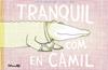 Tranquil com en Camil | 9788484706571 | ANDRIAMIRADO, NATACHA & RENON, DELPHINE | Llibreria Sendak