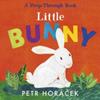 Little Bunny | 9781529517354 | Horácek, Pter | Llibreria Sendak