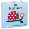 Natura. MiniToc | 9788411582988 | Findlay, Rhiannon | Llibreria Sendak