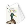 Fíjate: aves | 9788410407633 | Sanjuan Llorens, Anna/Baucells Colomer, Ramon | Llibreria Sendak
