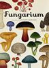 Fungarium | 9788417553623 | Scott, Katie/Gaya, Ester | Llibreria Sendak
