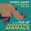 My first pop-up endangered animals | 9781529500677 | Davey, Owen | Llibreria Sendak