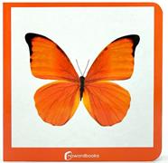 Taronja | 9788412534443 | NOWORDBOOKS | Llibreria Sendak