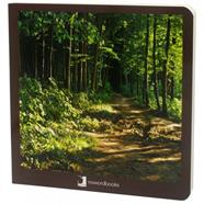 El bosc | 9788412171020 | Librería Sendak