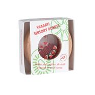 PETIT BOUM Sensory Donuts Watermelon | 8425402857618 | Librería Sendak