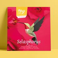 Plego Selasphorus platycerus (Colibrí) | 8436043720193 | Llibreria Sendak